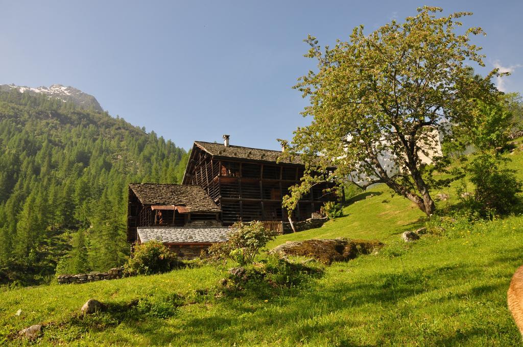 Baita Prato Della Croce Hotel Рива Валдобия Екстериор снимка